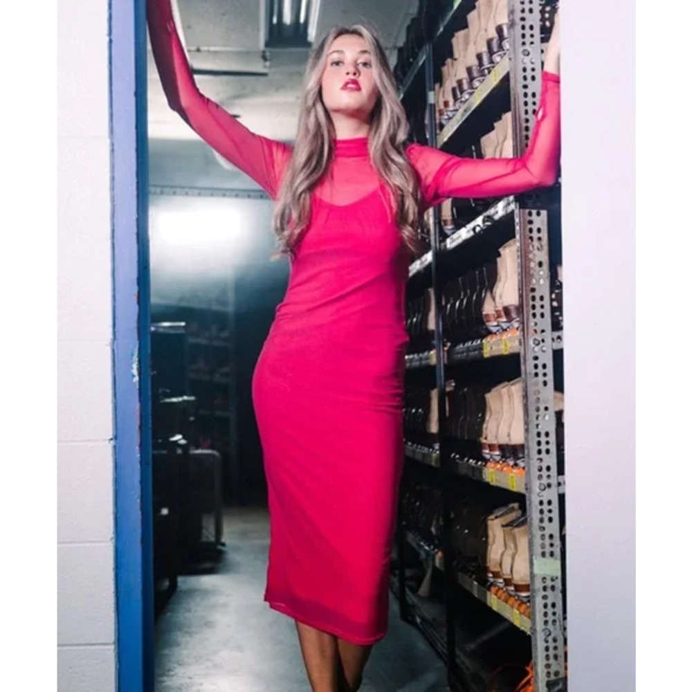 NWT Abbeline Long Sleeve Mesh Midi Dress Pink Size XS